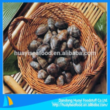 good supplier with FDA supply various frozen short necked clam